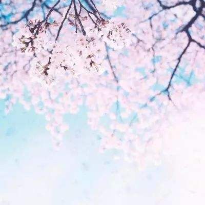 BOB·体育手机APP