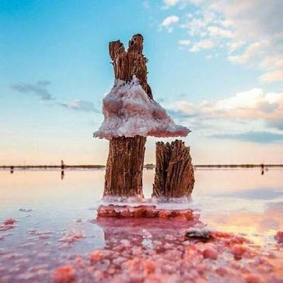 ayx爱游戏全站手机app下载