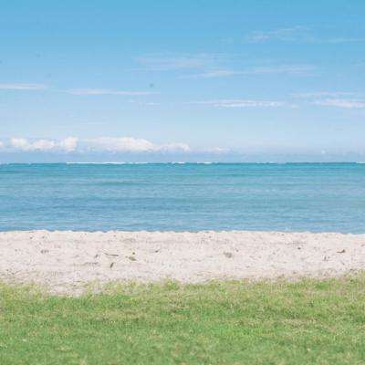 宝威体育app下载