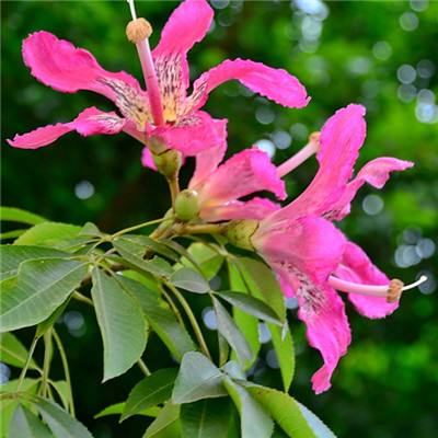 m6米乐网页版登录入口下载手机版截图