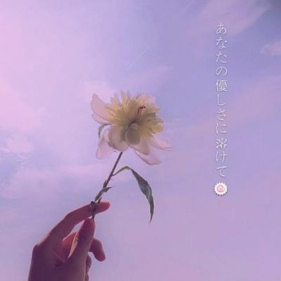 凤凰娱乐彩票官方版app网址