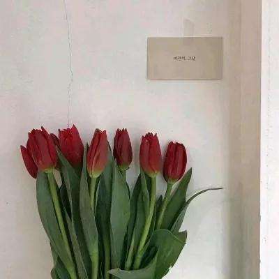 玩球直播下载ios截图