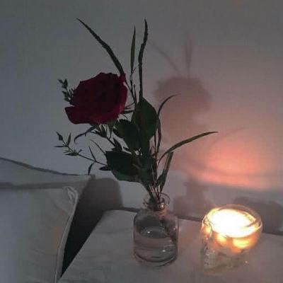 金星app安装下载官网